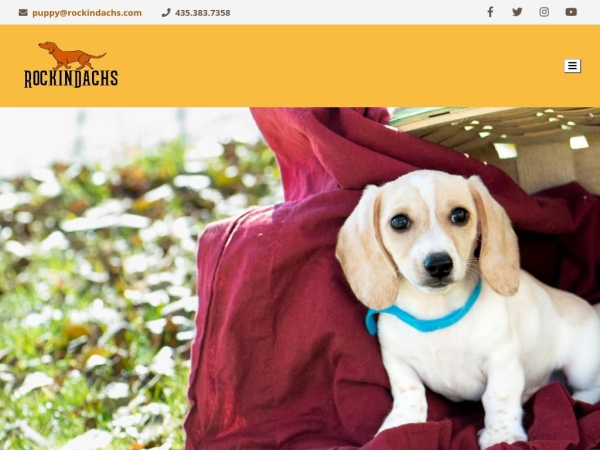 rockindachs.com